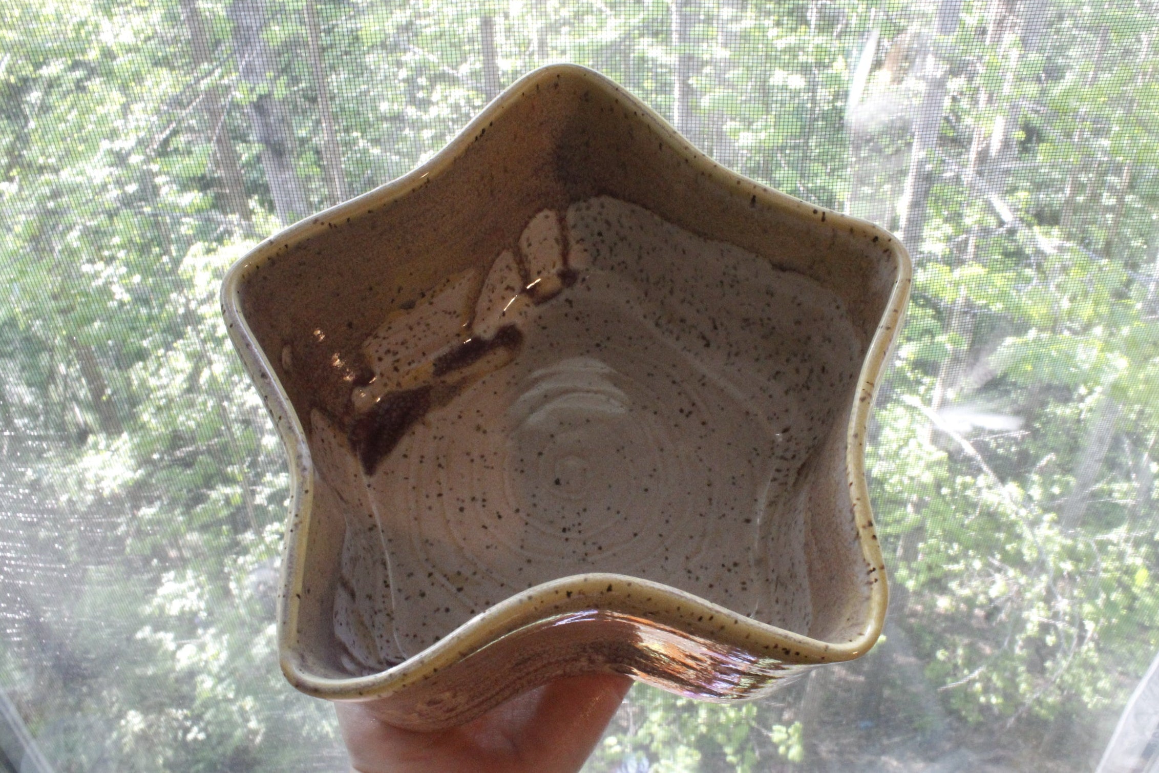"You Are A Star" Planter Vase